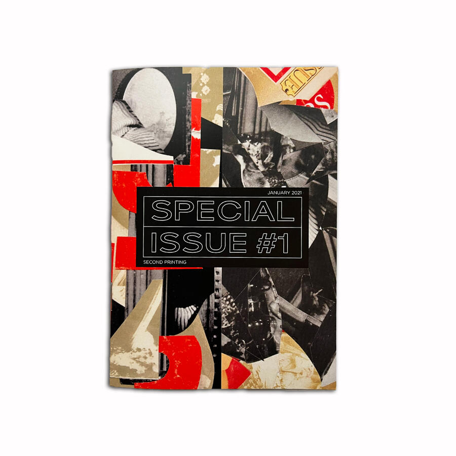 SUPPLEMENTAL MATERIAL #1, 2021 (Design, project management, collagework by myself and Brado)