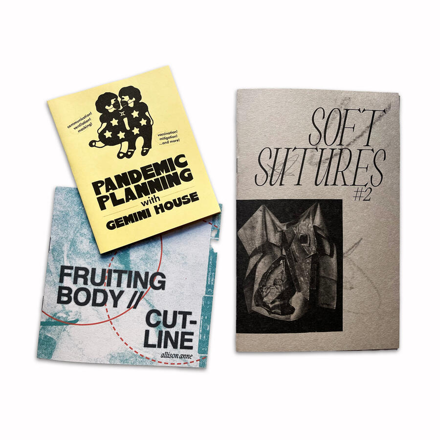 A variety of publications by allison anne